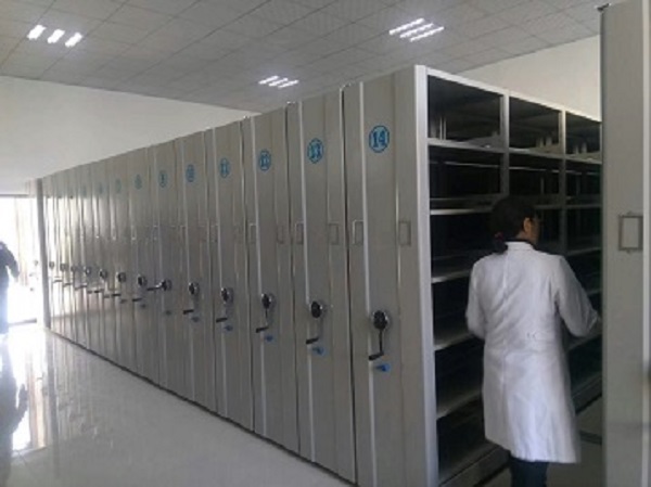 档案奶茶视频黄在线观看架